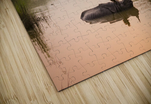 Rhinoceros at dawn in Chitwan Nepal Em Campos puzzle