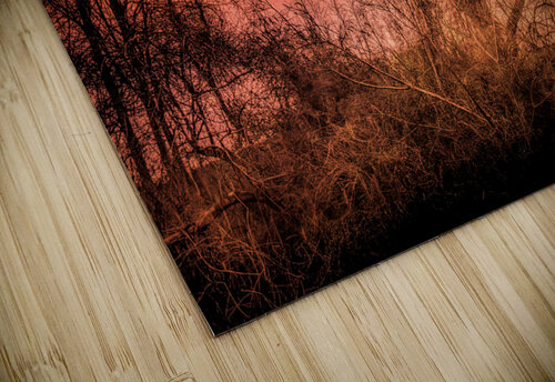  Mysterious Trees Norma Brandsberg Photography puzzle