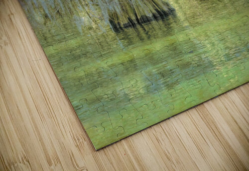 Louisiana Bald Cypress Light Beams Norma Brandsberg Photography puzzle