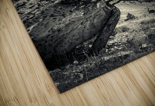 16x24 20170826 KW LN Find a Way Kevin Wenning puzzle