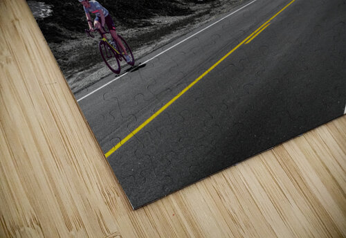 20170423 KW Peak to Peak Spring 16x24 Kevin Wenning puzzle