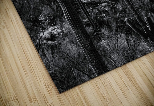 24x16 20220409KW Sabino Canyon BW proofed Kevin Wenning puzzle