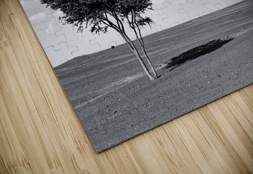 Erg Chebbi Argan BW Kevin Wenning puzzle