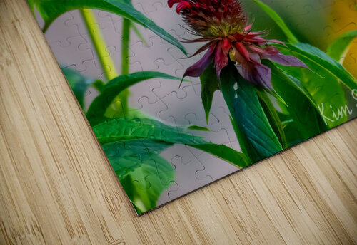 Hummingbird Wild TS designs puzzle