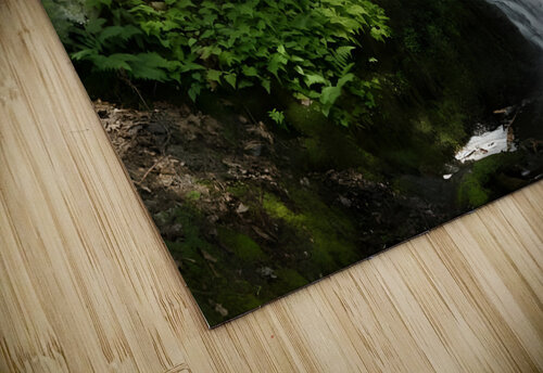 Bushkill Falls Earthshine Emporium puzzle