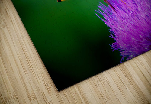 Butterfly On Thistle Earthshine Emporium puzzle