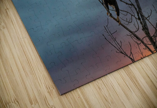 Eagle-Take Off Wild TS designs puzzle