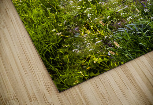 Dolomite Mountain Wildflowers in Summer Norma Brandsberg Photography puzzle