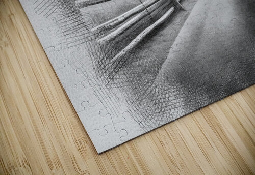 sd77s4354899 aamir 786 puzzle