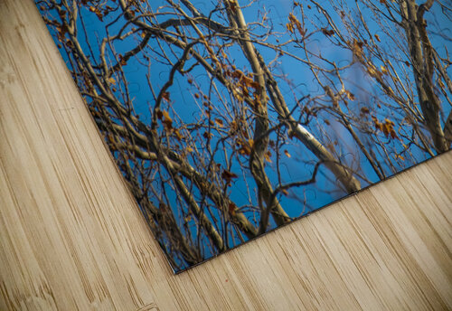 Eagle in morning light Wild TS designs puzzle