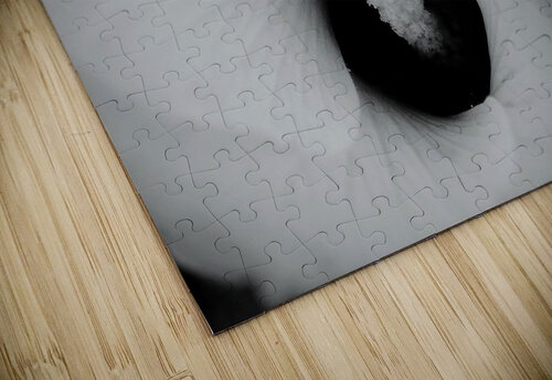 White Flower Dakota Rocha puzzle