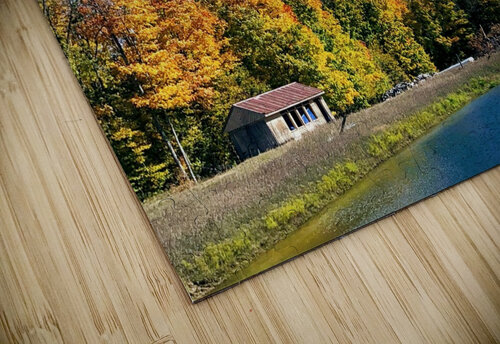 Fall Lake Dakota Rocha puzzle