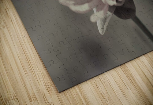 Wild Daisy Dakota Rocha puzzle