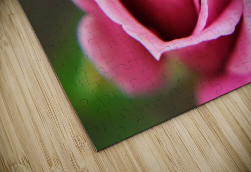 Pink Rose Dakota Rocha puzzle