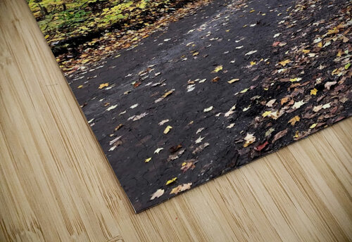 Fall Trail Dakota Rocha puzzle