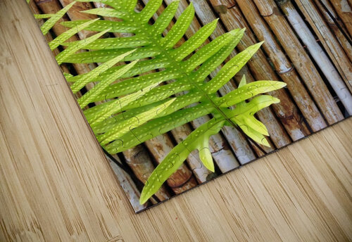 Hawaiian Fern Dakota Rocha puzzle