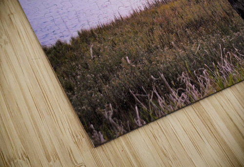 Windy Lake Dakota Rocha puzzle