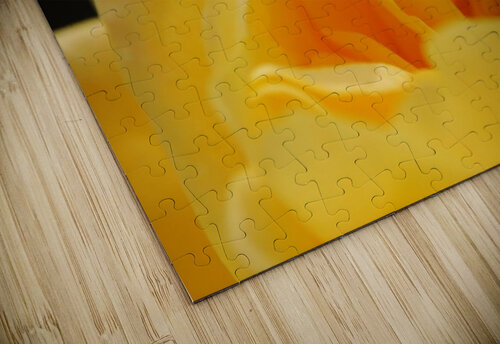 Up Close Yellow Rose Dakota Rocha puzzle