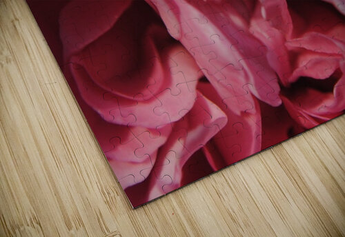 Pink Rose Petals Dakota Rocha puzzle
