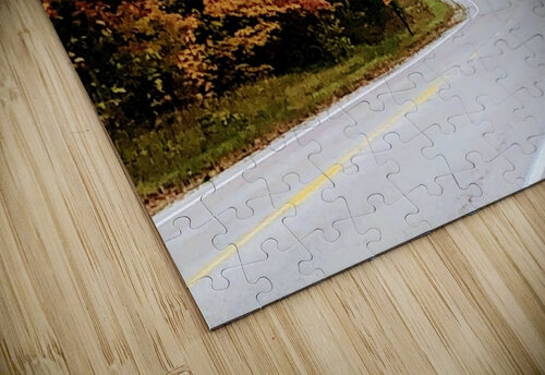 Autumn Road Dakota Rocha puzzle