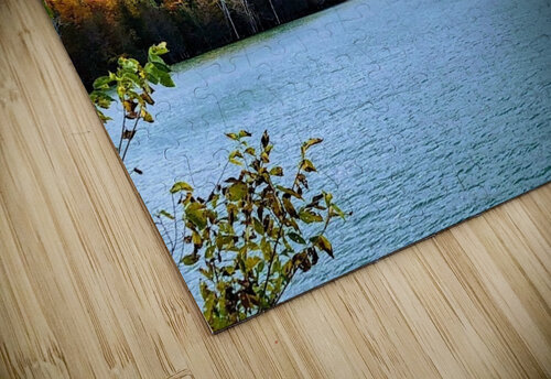 Fall on the Lake Dakota Rocha puzzle