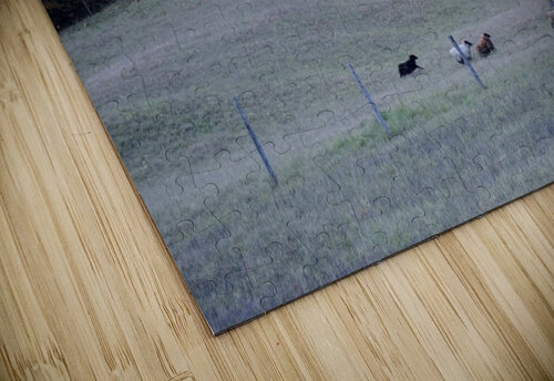 Running Sheep Dakota Rocha puzzle