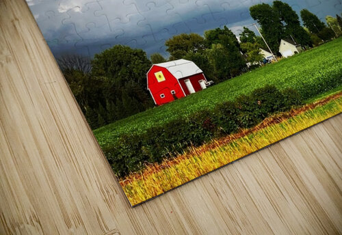 Country Rainbow Dakota Rocha puzzle