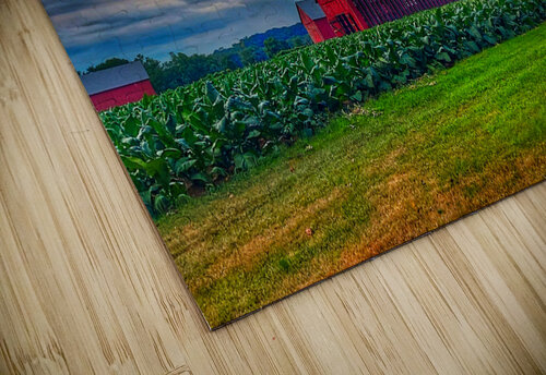 12 Clouds Over Horton Farm Kevin Savage puzzle