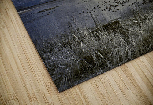 What A View CRB Images Photography puzzle