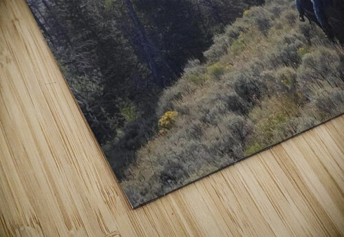 Out for a walk Eli Arroyo puzzle