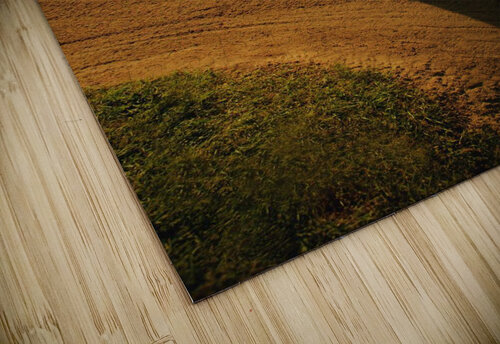 Golfer Taking A Swing From A Golf Bunker PacificStock puzzle