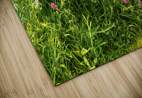 Sweetpeas on a Wire Fence Thea Menagh puzzle