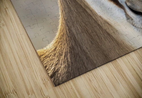 Elegance in Nature Bob Wild   Digital Art puzzle