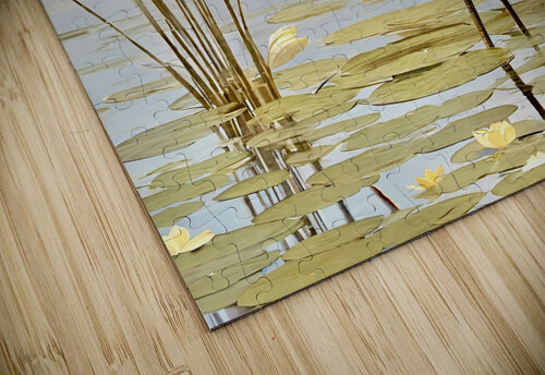 IMG 0299 Magikheart puzzle