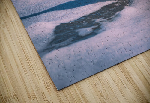 Willet - Gentle Waves Chad Meyer puzzle