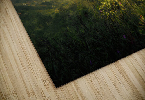 Costa Rica San Ramon Mountain Vista Norma Brandsberg Photography puzzle