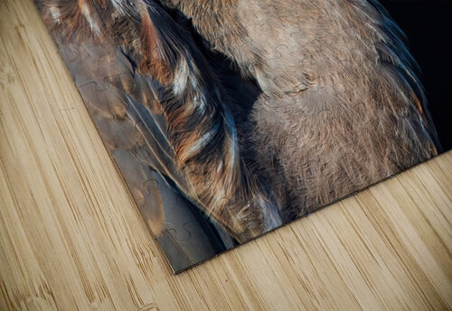 Great Blue Heron - Up Close Chad Meyer puzzle