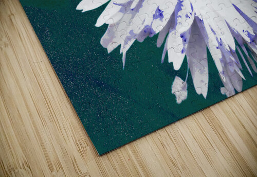 Abstract Linear Inverted Double White Daisy Flower Catriona Roberts Nature Photography and Designs puzzle