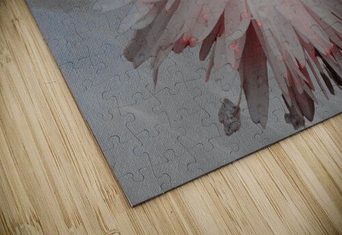 Pink Abstract Daisy Flower Centre on a Grey Abstract Background Catriona Roberts Nature Photography and Designs puzzle