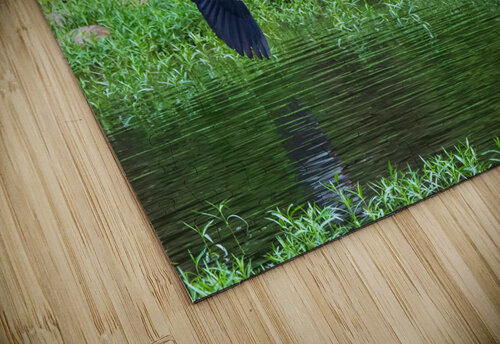 Great Blue Heron couple in flight Chad Meyer puzzle