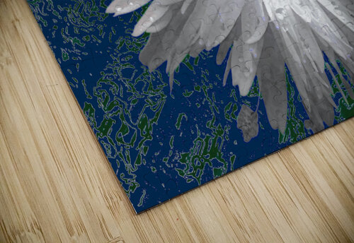 White Daisy Flower with Light Turquoise Centre on an Abstract Background Catriona Roberts Nature Photography and Designs puzzle