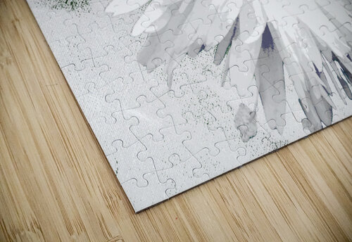 Abstract White Double Daisy on a Pale Monochrome Abstract Background Catriona Roberts Nature Photography and Designs puzzle