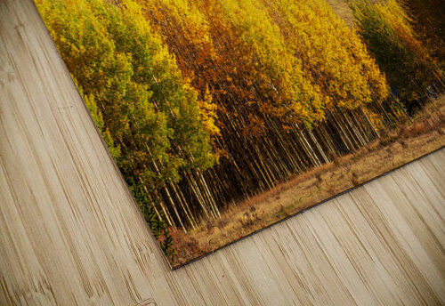 Golden Valley Prairie Wind Imagery puzzle