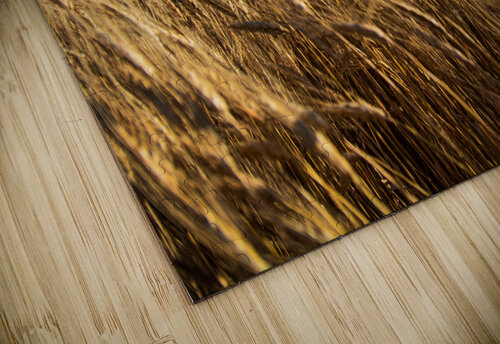 Wheat And Sky Prairie Wind Imagery puzzle