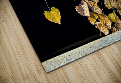 Floating Leaves Prairie Wind Imagery puzzle