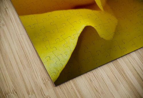 Edge of a Rose Prairie Wind Imagery puzzle