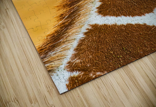 Bristles Prairie Wind Imagery puzzle