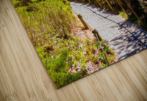untitled 15 Eric Franks puzzle