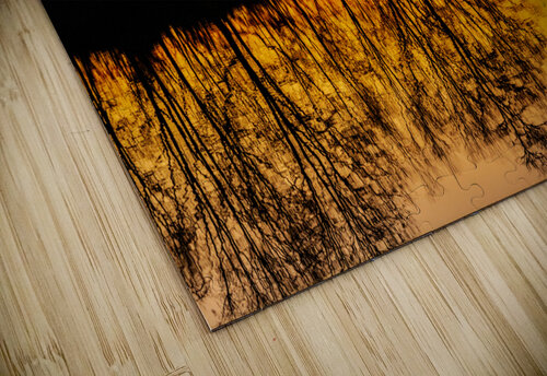 Florida Sunrise Prairie Wind Imagery puzzle