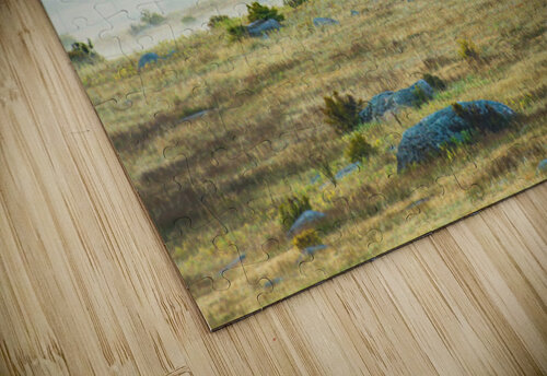 Trees In The Mist Prairie Wind Imagery puzzle